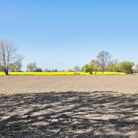 5 Bedroom Beautiful In 別荘